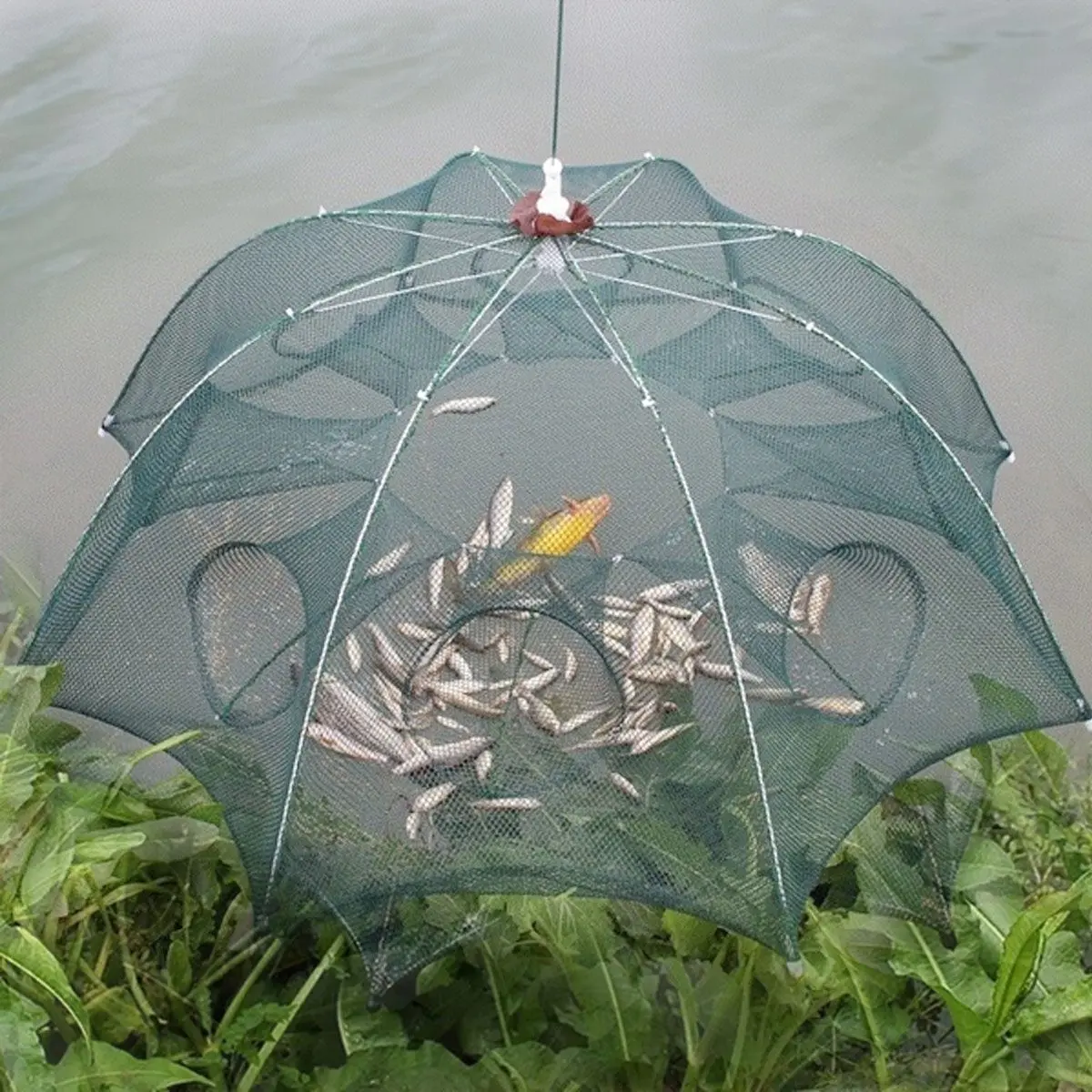 Automatic Fishing Trap Net Nylon Foldable Fishing Bait Trap Fishing Gear  for Crab Minnow Shrimp(6 Hole)